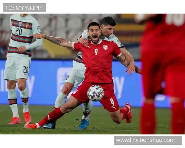 欧洲杯精彩对决俄罗斯队迎战强敌全力争胜展现足球魅力与激情